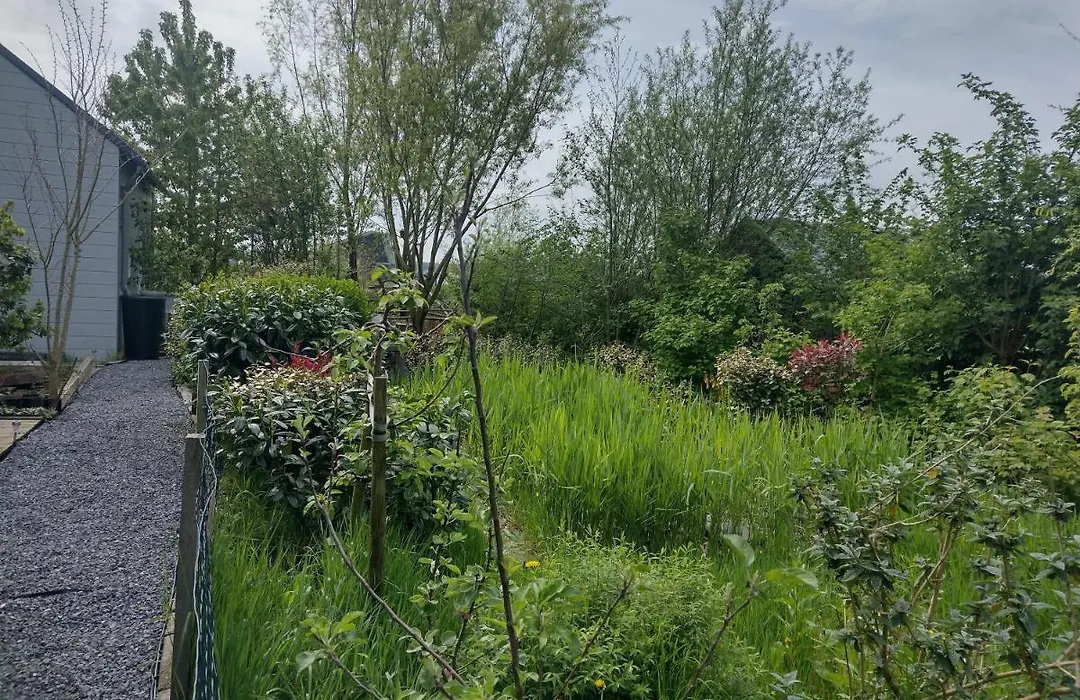 Tuinhuisje in het groen-1